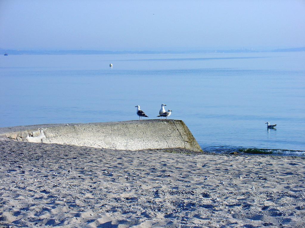 Fewo Machedanz Am Hafen Timmendorfer Strand Ot Niendorf Zewnętrze zdjęcie